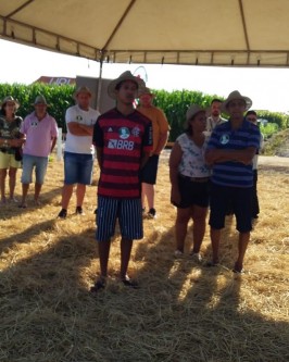 Produtores marcam presença no 3º Dia de Campo da Copagro - Foto 3