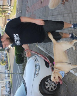 1ª Cãominhada da Apa realizada em São Ludgero foi sucesso absoluto - Foto 1