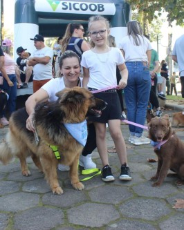 1ª Cãominhada da Apa realizada em São Ludgero foi sucesso absoluto - Foto 10