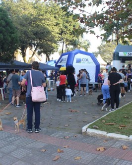 1ª Cãominhada da Apa realizada em São Ludgero foi sucesso absoluto - Foto 2