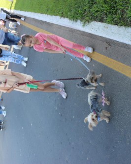 1ª Cãominhada da Apa realizada em São Ludgero foi sucesso absoluto - Foto 36