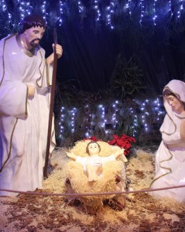 Abertura de Natal em São Ludgero acontece no dia 29 de novembro - Foto 2