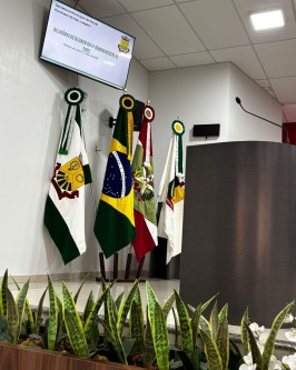 Prefeitura de São Ludgero realiza Audiência Pública para apresentação do Primeiro RDQA de 2025 - Foto 1