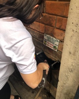 “São Ludgero pode perder o controle sobre o mosquito Aedes Aegypti caso a população não abrace de verdade o combate com ações preventivas” - Foto 4 “São Ludgero pode perder o controle sobre o mosquito Aedes Aegypti caso a população não abrace de verdade o combate com ações preventivas” - Foto 4