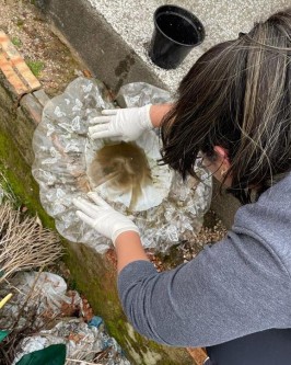 Exército Brasileiro estará em São Ludgero ajudando no enfrentamento ao mosquito Aedes Aegypti - Foto 2 Exército Brasileiro estará em São Ludgero ajudando no enfrentamento ao mosquito Aedes Aegypti - Foto 2