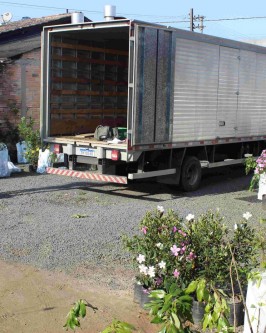 Um total de 1.092 mudas de 97 pedidos feitos estão sendo entregues pela Secretaria de Agricultura - Foto 4 Um total de 1.092 mudas de 97 pedidos feitos estão sendo entregues pela Secretaria de Agricultura - Foto 4