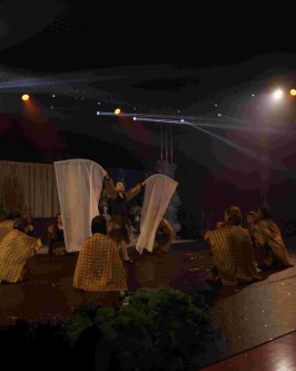 Ótimo público e muita emoção em mais uma edição do Festival Municipal de Dança de São Ludgero - Foto 29 Ótimo público e muita emoção em mais uma edição do Festival Municipal de Dança de São Ludgero - Foto 29