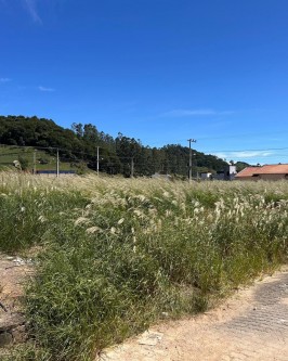 Prefeitura Intensifica Fiscalização e Roçadas em Lotes Abandonados - Foto 1 Prefeitura Intensifica Fiscalização e Roçadas em Lotes Abandonados - Foto 1