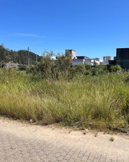 Prefeitura Intensifica Fiscalização e Roçadas em Lotes Abandonados - Foto 2 Prefeitura Intensifica Fiscalização e Roçadas em Lotes Abandonados - Foto 2