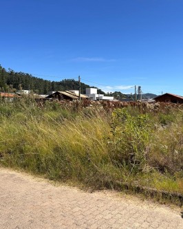 Prefeitura Intensifica Fiscalização e Roçadas em Lotes Abandonados - Foto 3 Prefeitura Intensifica Fiscalização e Roçadas em Lotes Abandonados - Foto 3