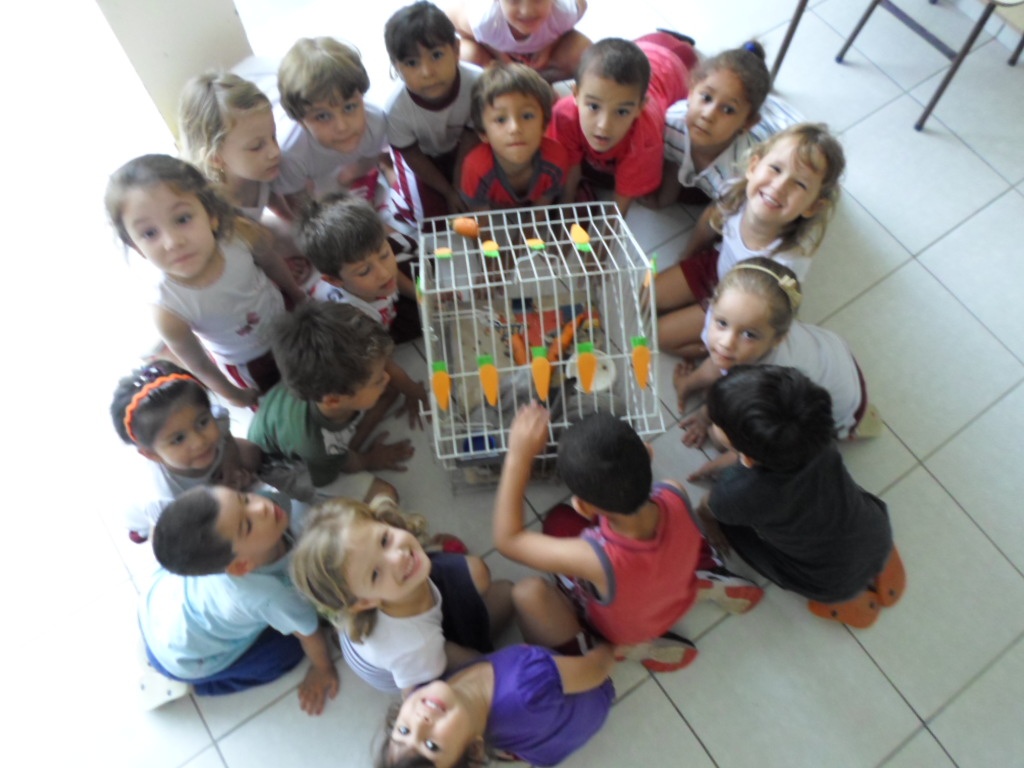 CEI Divina Providência dá exemplo com o projeto “Reciclando e Brincando”