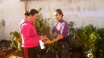 Pessoas já podem retirar lista de mudas para oficializarem pedidos nos dias 23, 24 e 25 de maio