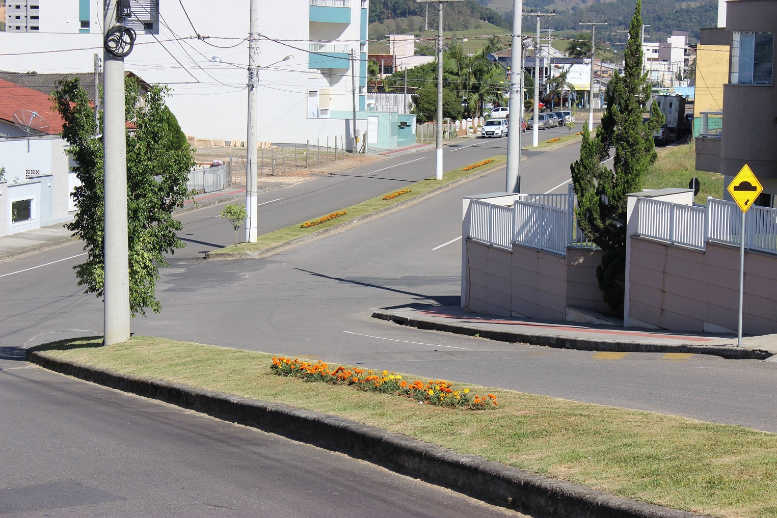 Investimento em limpeza e plantio de grama e flores deixa cidade mais bonita