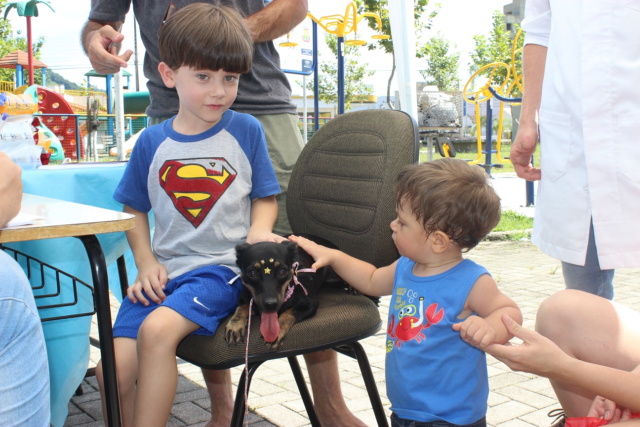 30 animais chipados e 27 adotados durante eventos realizados na praça do Centro Cultural Multiuso...