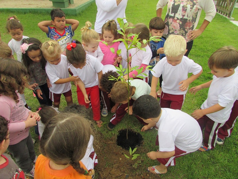 Crianças do CEI Dom Gregório Warmeling apreendem sobre a importância das árvores ajudando no...