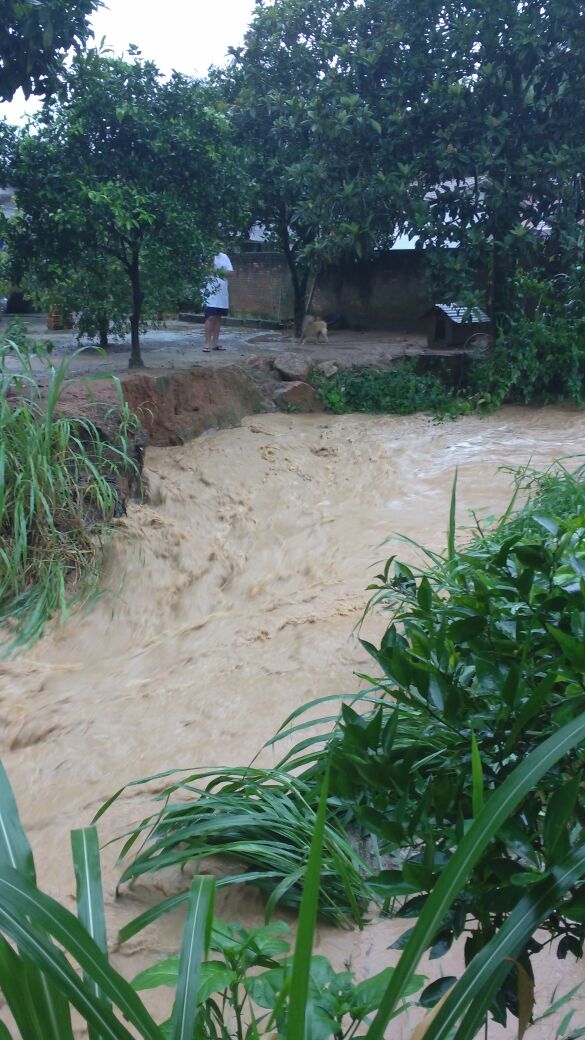 Investimento constante em drenagens está oportunizando um verão tranquilo para as famílias da...