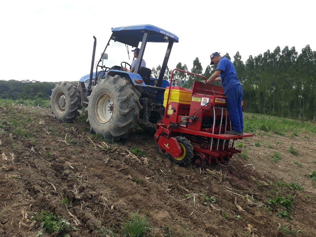 Agricultores de São Ludgero começam a descobrir os benefícios do plantio direto de forragem para...
