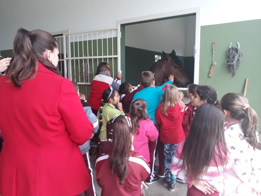 Alunos do Centro Educacional Professor Henrique Buss visitam Hospital Veterinário Unibave