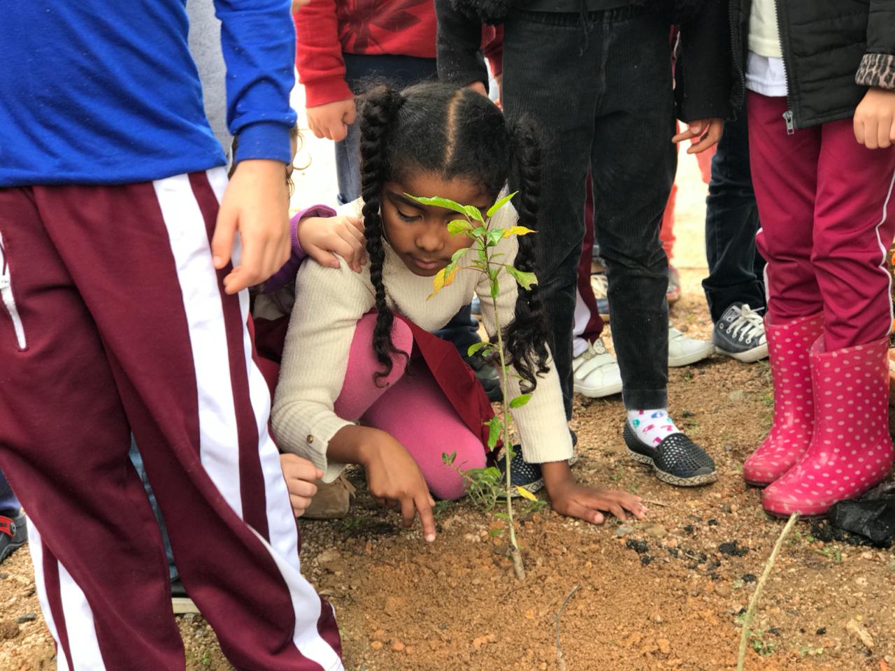 Na semana da Árvore teve ação com as crianças no Centro de Educação Infantil Divina...