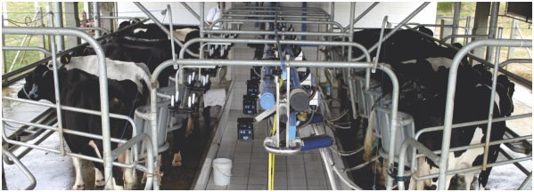 Tarde de Campo sobre “Qualidade de Leite” acontece em São Ludgero no dia 28 de maio