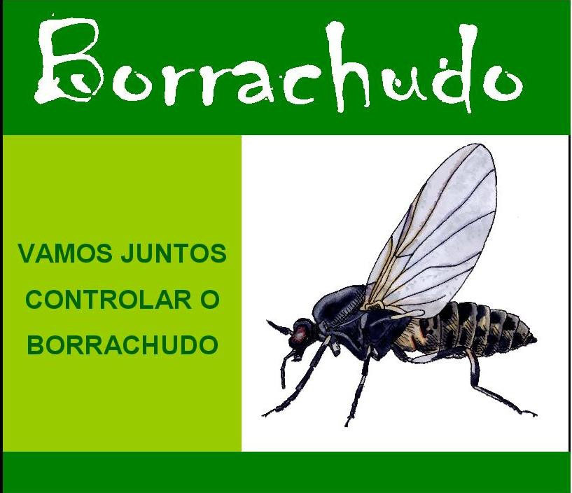 Representante da empresa Signgenta estará reunido com moradores do Mar Grosso para sanar dúvidas...