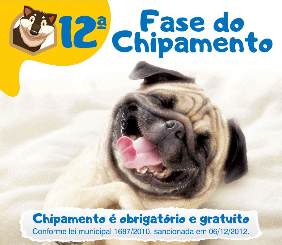 12ª Fase do Chipamento e 8ª Feira de Doações acontecem no dia 21 de setembro na Praça da...