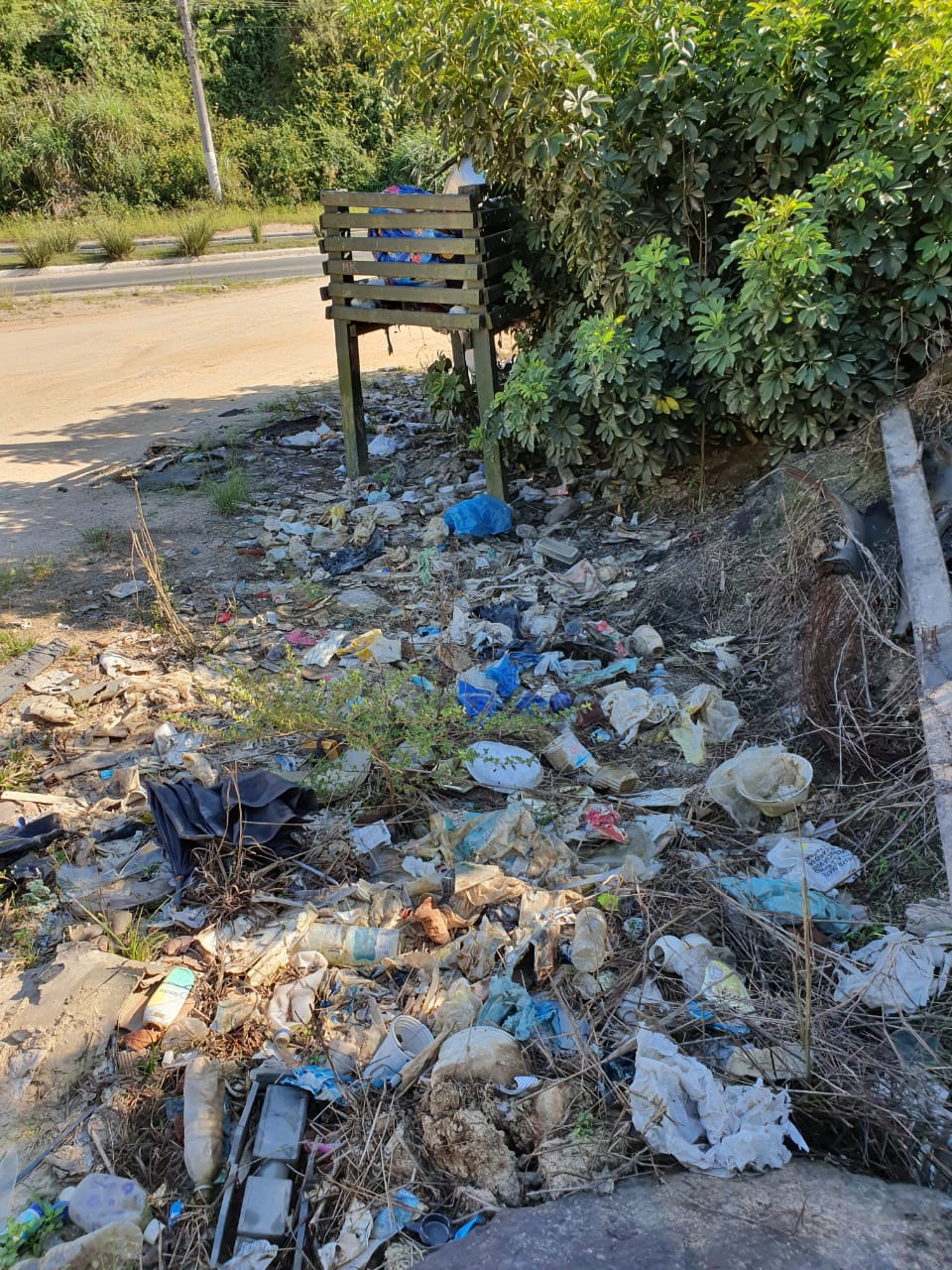 Em duas ações Grupo recolheu 2,5 mil quilos de lixo das margens da Rodovia Estadual SC 108 –...