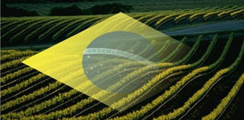 Prazo final para prestação de contas das Notas de Produtor Rural utilizadas em 2020 é dia 31 de março