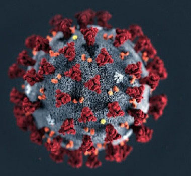 São Ludgero registra vigésima sétima morte por Covid-19