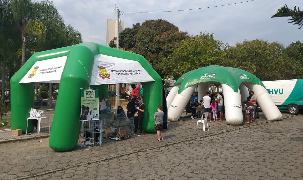 Foram 77 animais chipados e 16 adotados nos eventos realizados na Praça