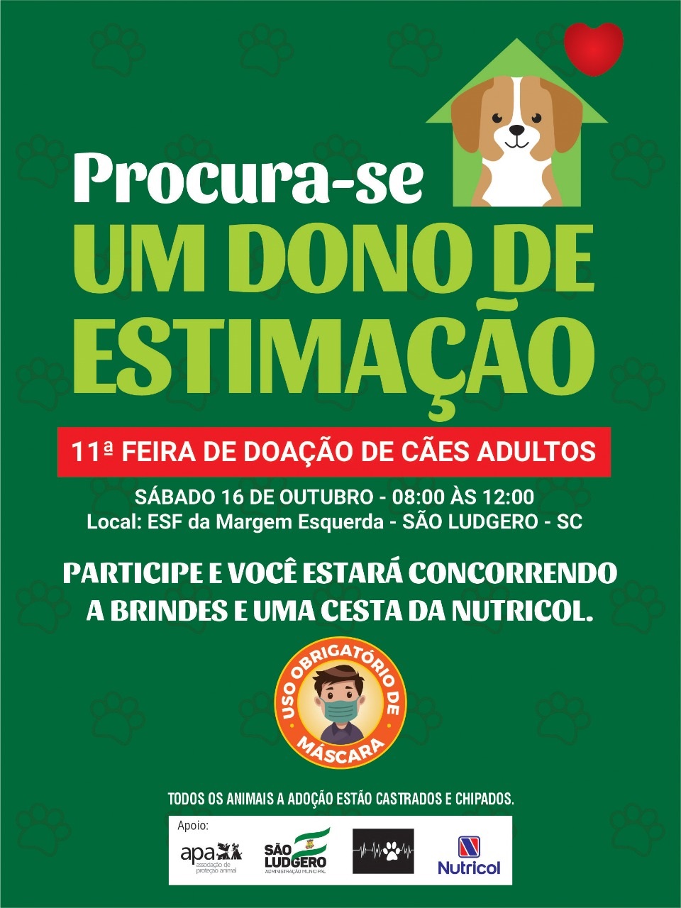 Amanhã, sábado, 16 de outubro, acontece em São Ludgero a 11ª Feira de Doação de Cães
