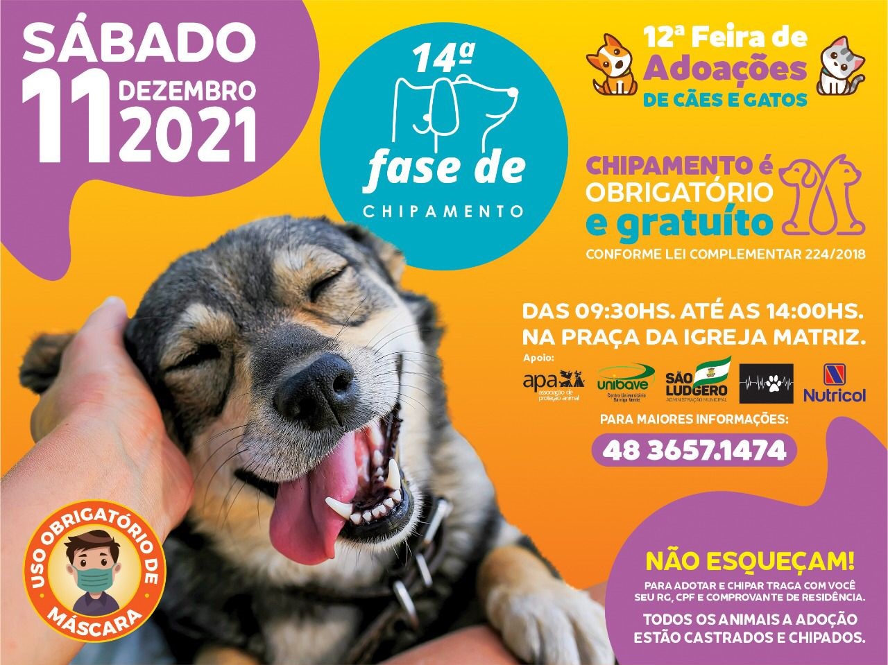 São Ludgero realiza 14ª Fase de Chipamento e 12ª Feira de Adoções de Cães e Gatos