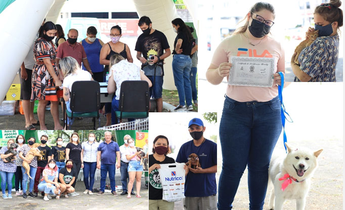 Foram 45 animais chipados e 14 adotados durante a 14ª Fase do Chipamento e a 12ª Feira de...