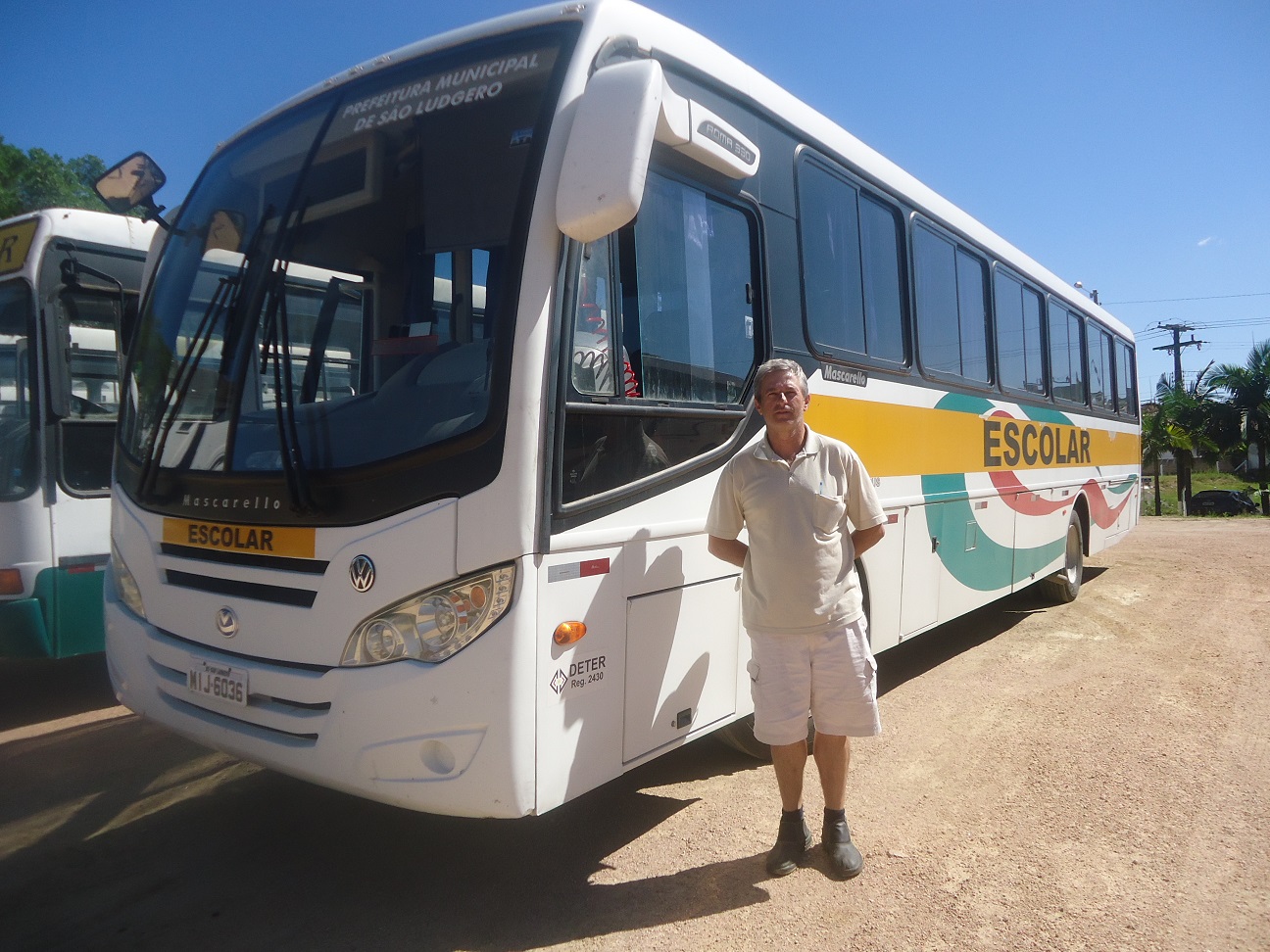 Motorista alerta sobre riscos devido aos animais soltos na rodovia SC 370, trecho Braço do Norte a...