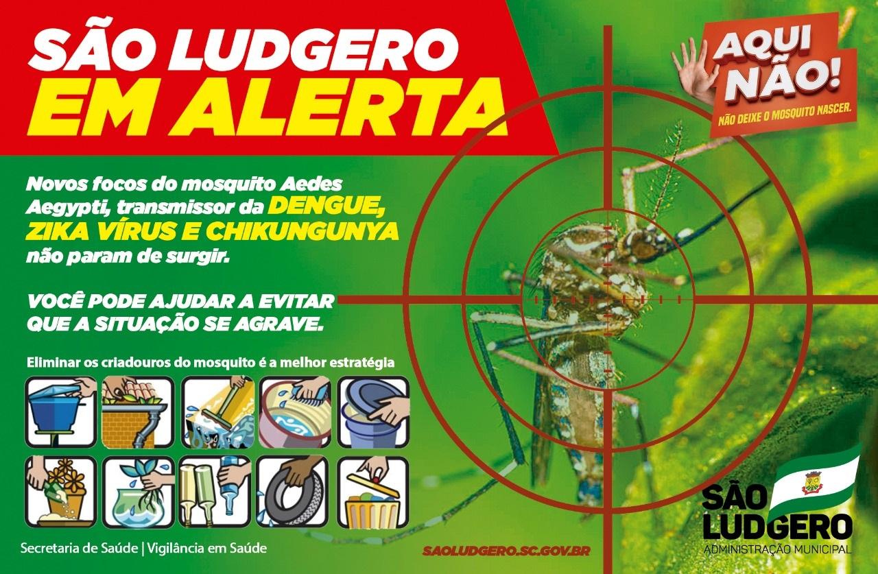 O aumento de focos confirmados do mosquito Aedes Aegypti coloca em alerta São Ludgero