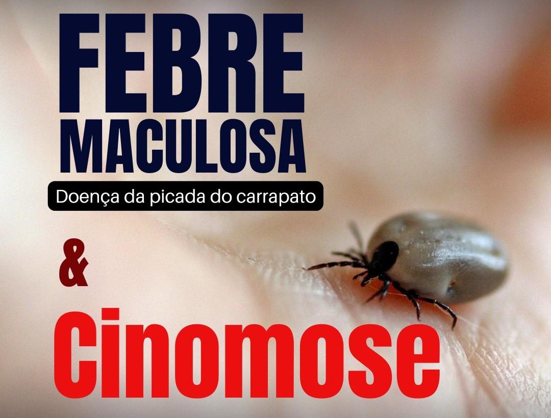 Atenção! Divisão de Zoonoses alerta sobre carrapatos em cães e transmissões da febre maculosa...