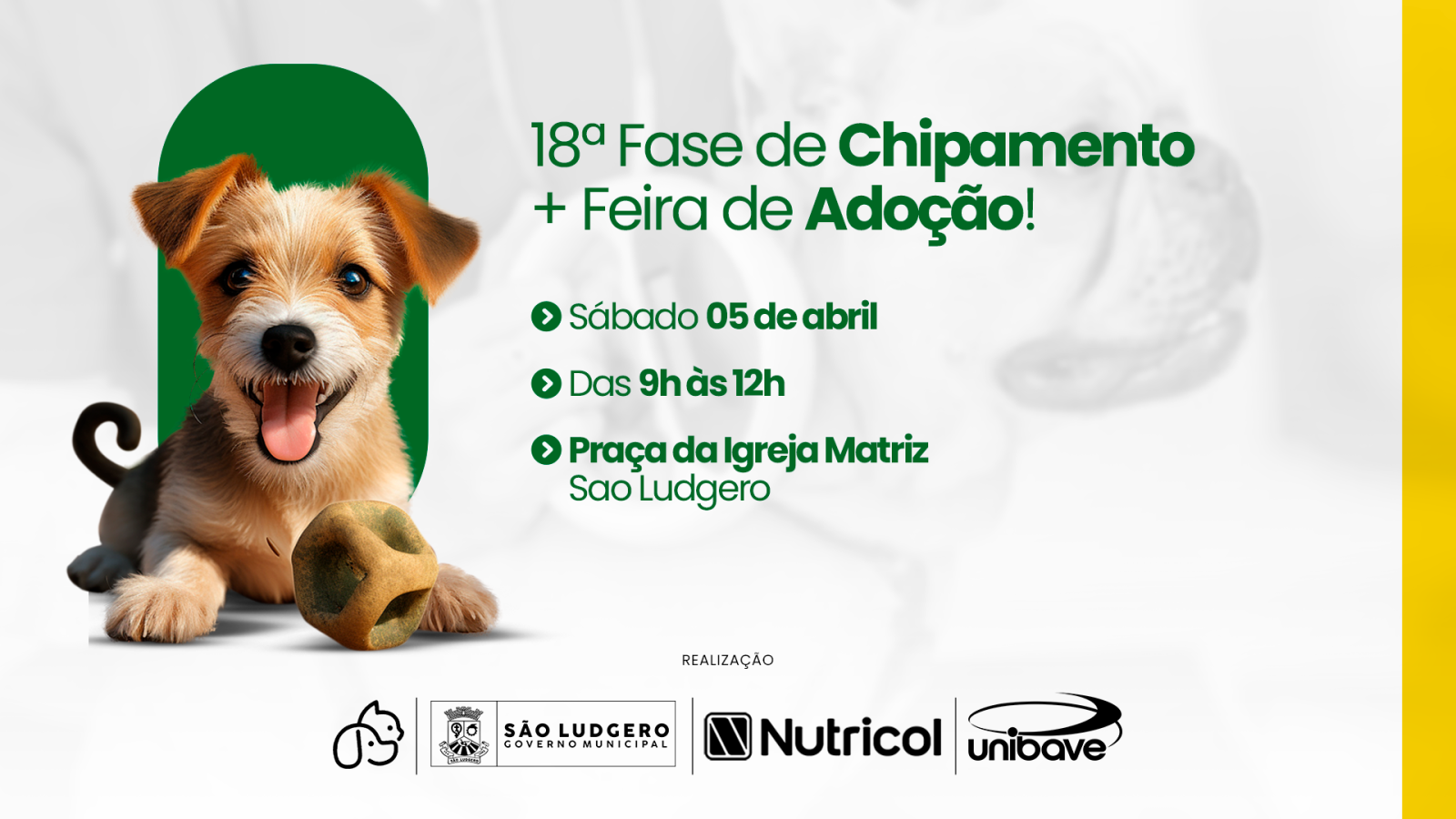 Feira de adoção e chipamento de animais acontece neste sábado em São Ludgero