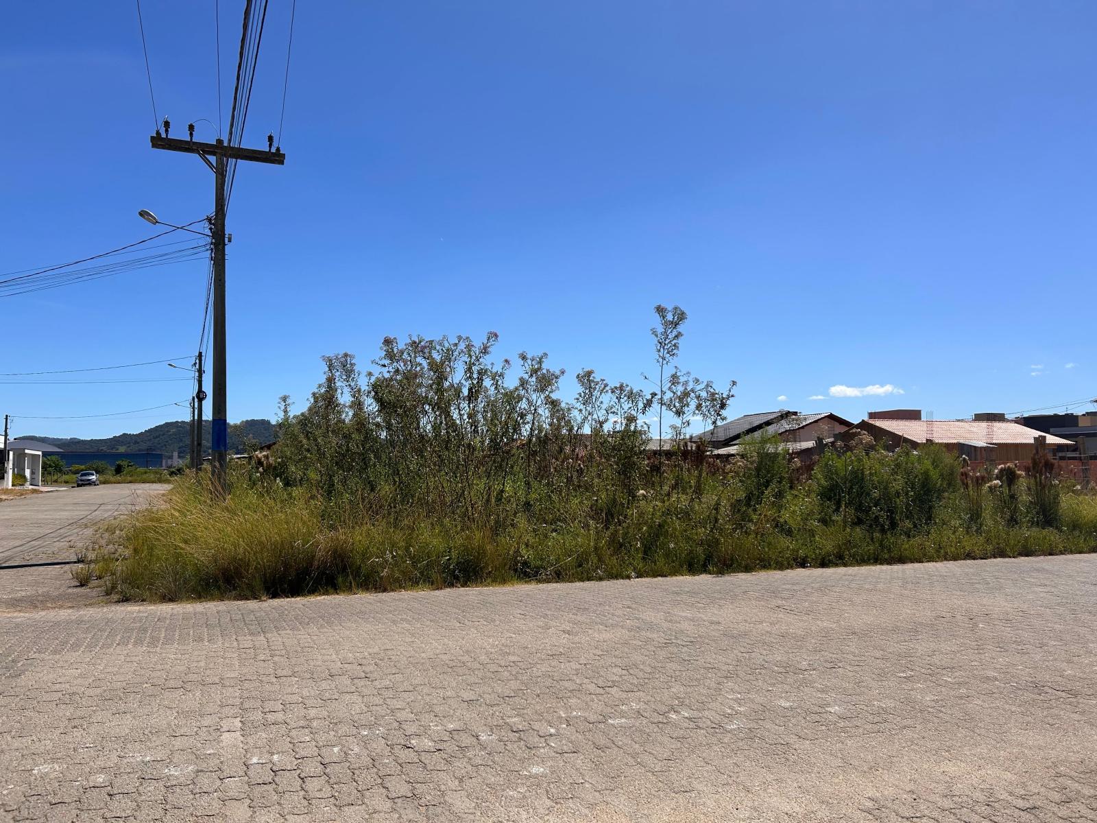 Prefeitura Intensifica Fiscalização e Roçadas em Lotes Abandonados